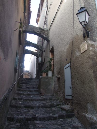 http://www.bratki.com/photos/Lazurka/DSCF5710.JPG