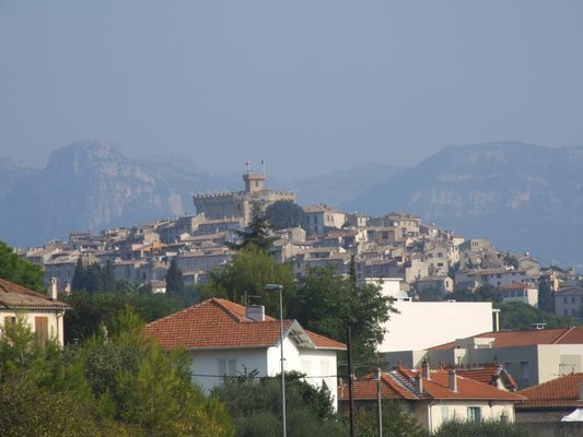 http://www.bratki.com/photos/Lazurka/DSCF5725.JPG
