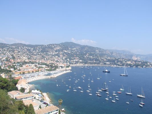 http://www.bratki.com/photos/Lazurka/DSCF5760.JPG