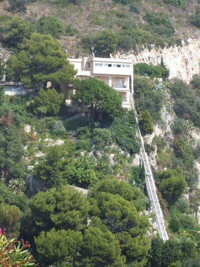 http://www.bratki.com/photos/Lazurka/DSCF5765.JPG