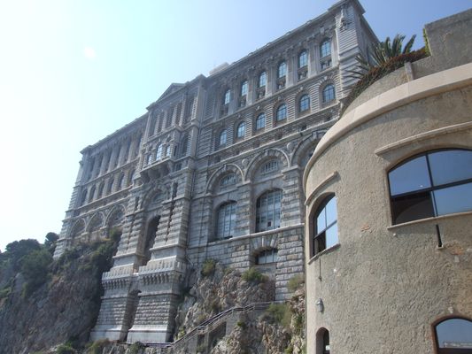 http://www.bratki.com/photos/Lazurka/DSCF5779.JPG