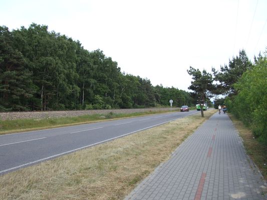 http://www.bratki.com/photos/VP-Poland/DSCF7693.JPG