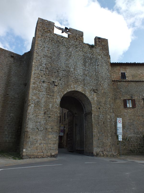 Ворота городка – крепости